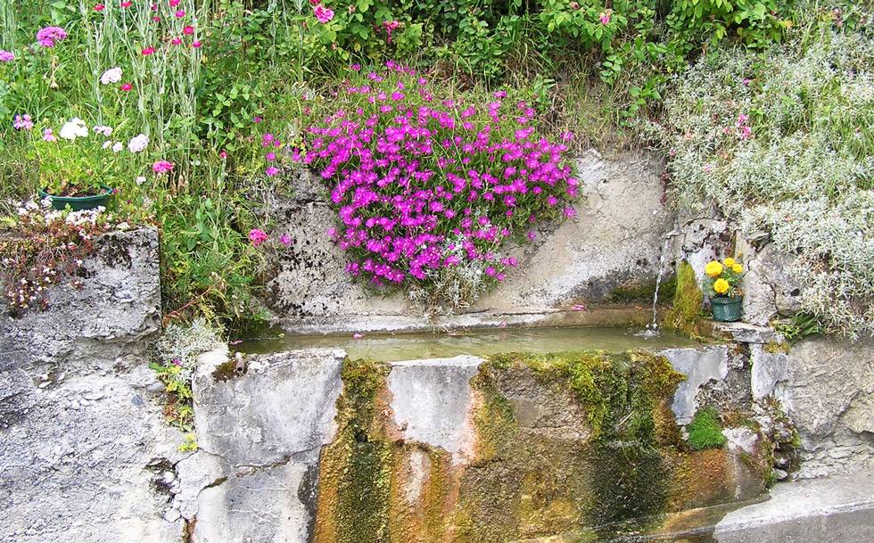 Abrevoir fleuri de Cathervielle Abrevoir fleuri de Cathervielle