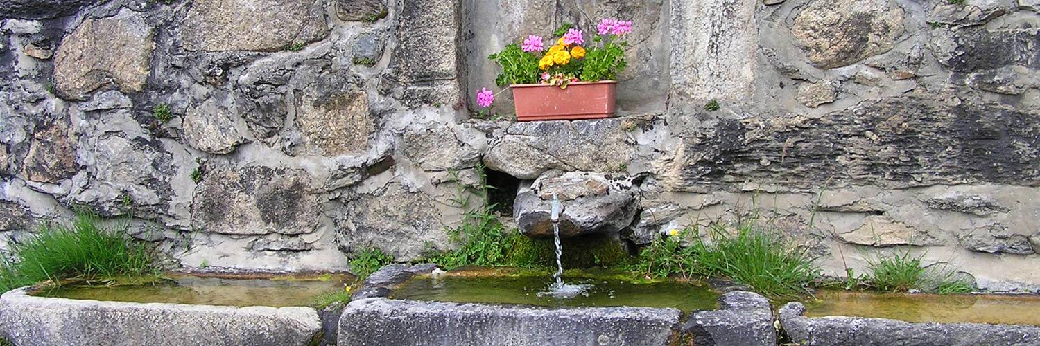 Abrevoir de cathervielle et fleurs